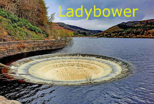 Ladyb.jpg