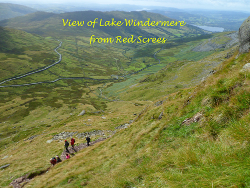 RedScrees.jpg